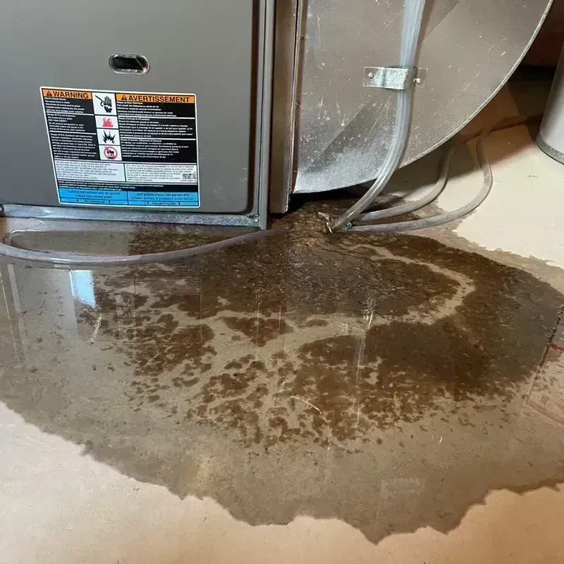 Appliance Leak Cleanup in Eddyville, KY